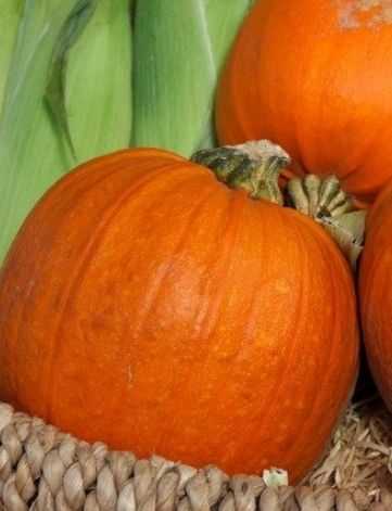 Calabaza ecológica bioconsumidores