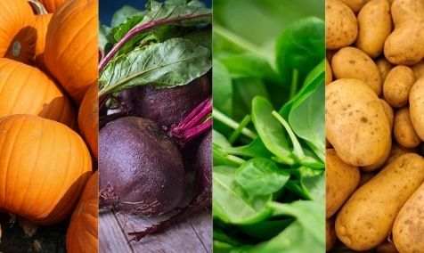 Las mejores cestas de regalo ecológicas - Bioconsumidores.com!