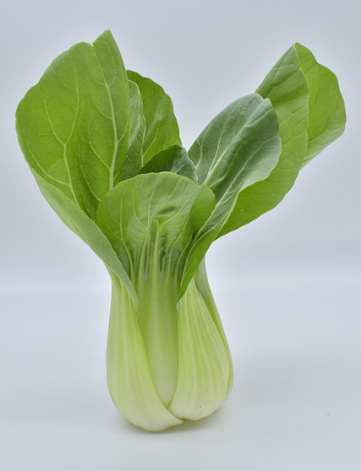 col china o pak choi Bioconsumidores