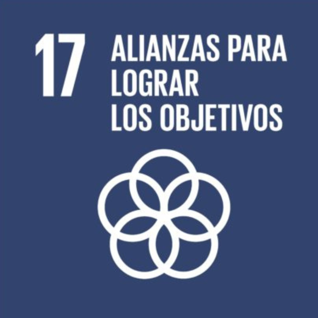 Alianzas para lograr objetivos
