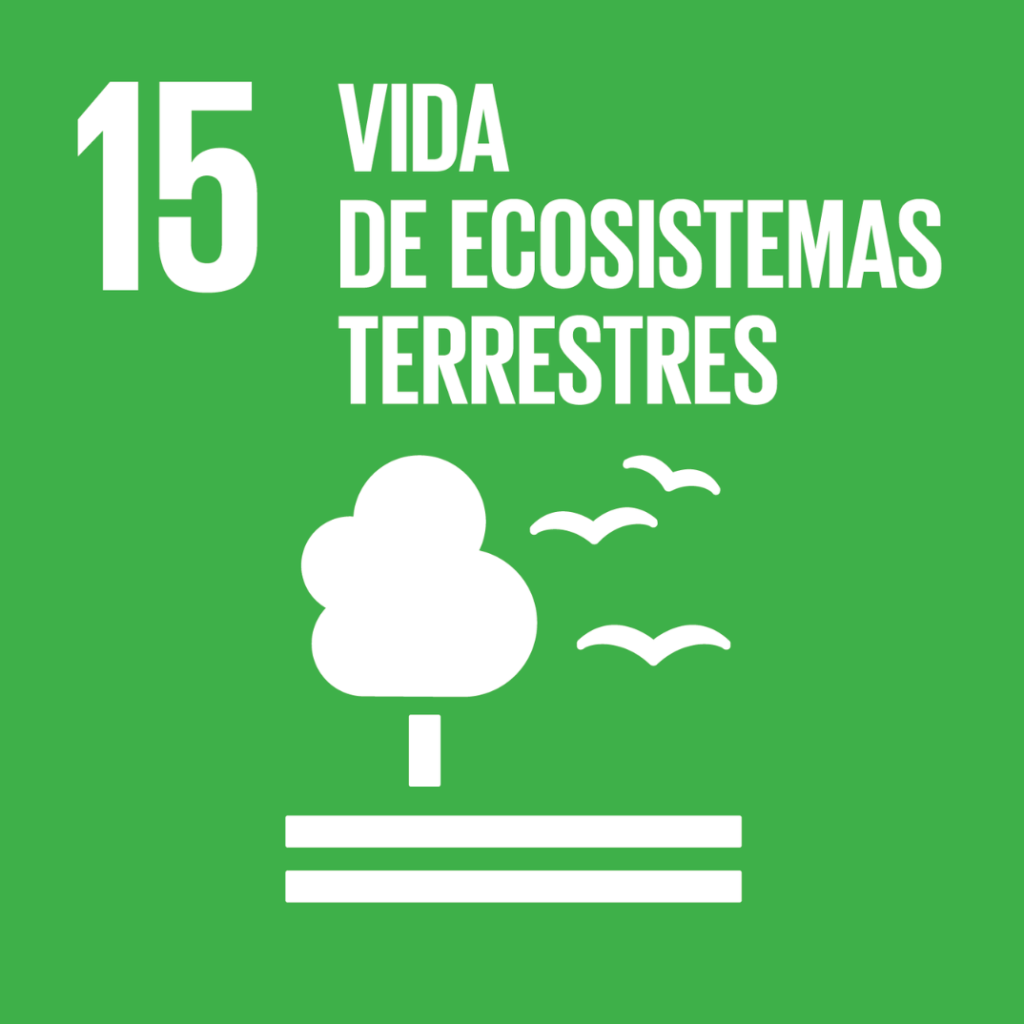 Objetivos desarrollo sostenible 15: vida de ecosistemas terrestres